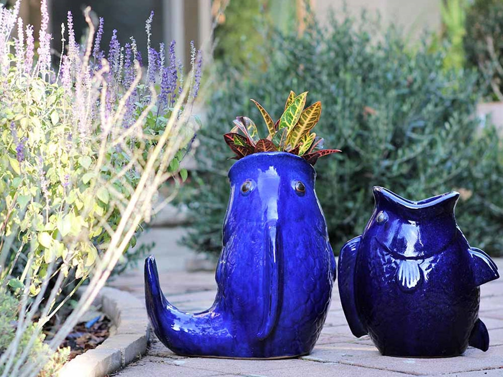 Leaping Carp By Plantatorem