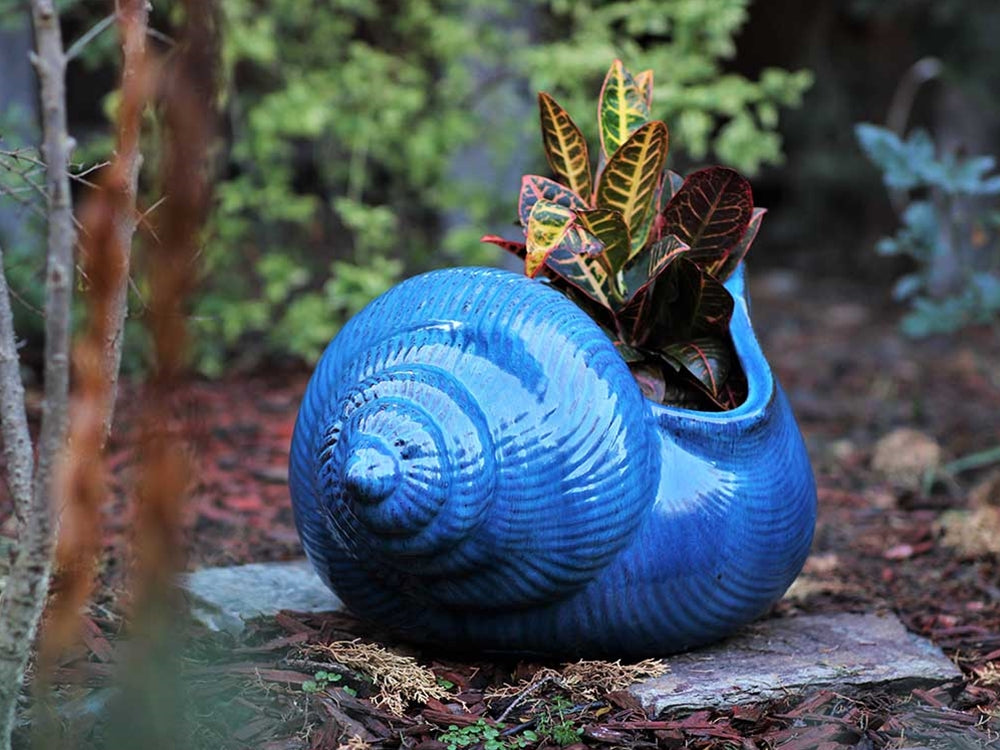 Shell Planter By Plantatorem