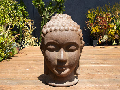 Buddha Head By Plantatorem