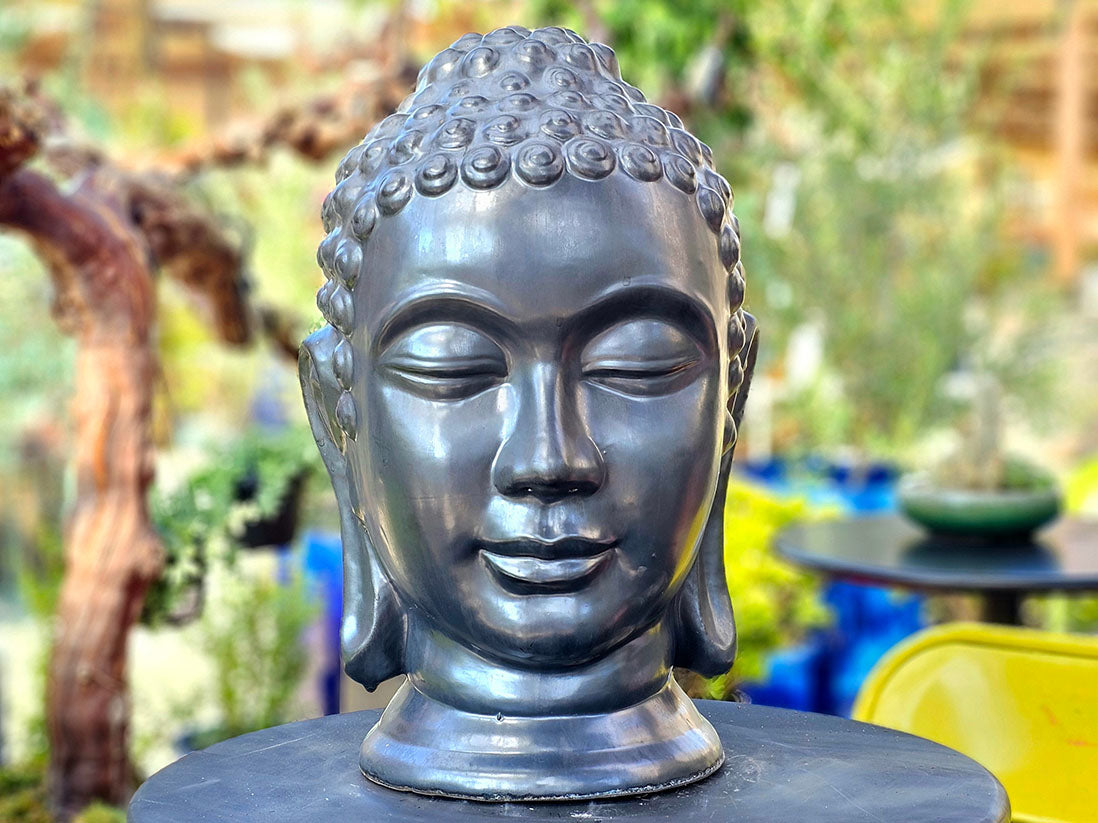 Buddha Head By Plantatorem