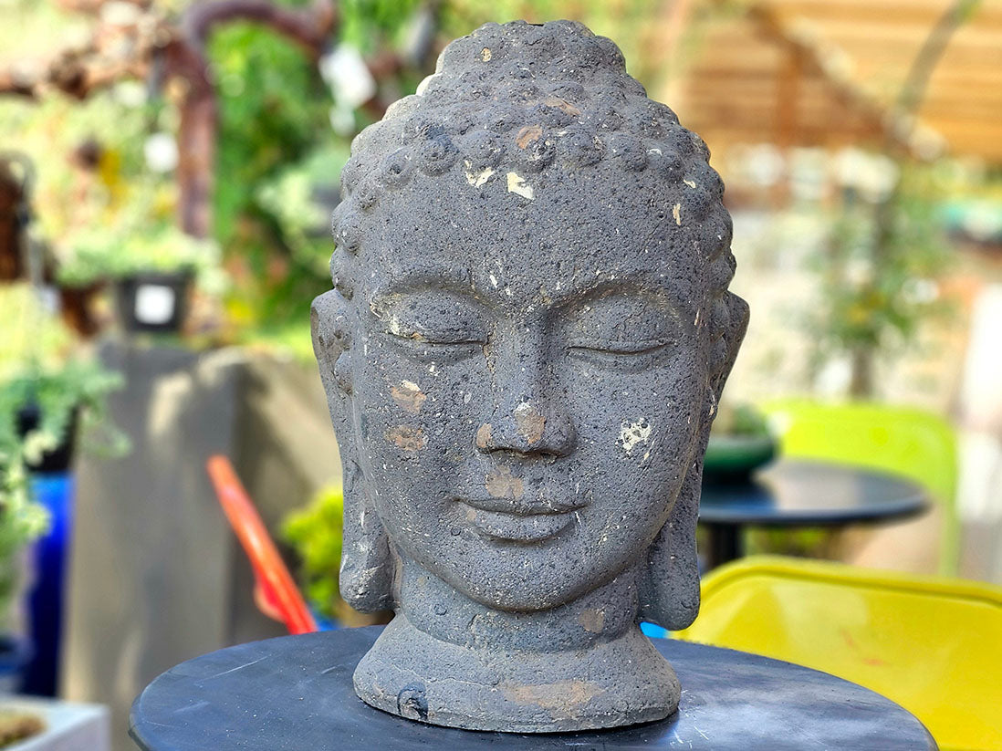 Buddha Head By Plantatorem