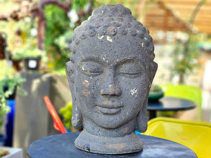 Buddha Head By Plantatorem
