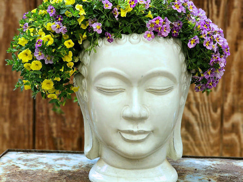 Buddha Head Planter By Plantatorem