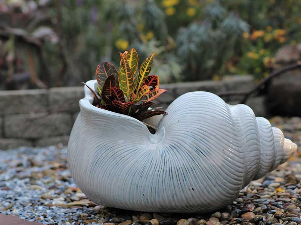 Shell Planter By Plantatorem