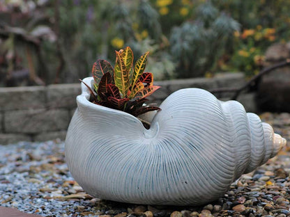 Shell Planter By Plantatorem
