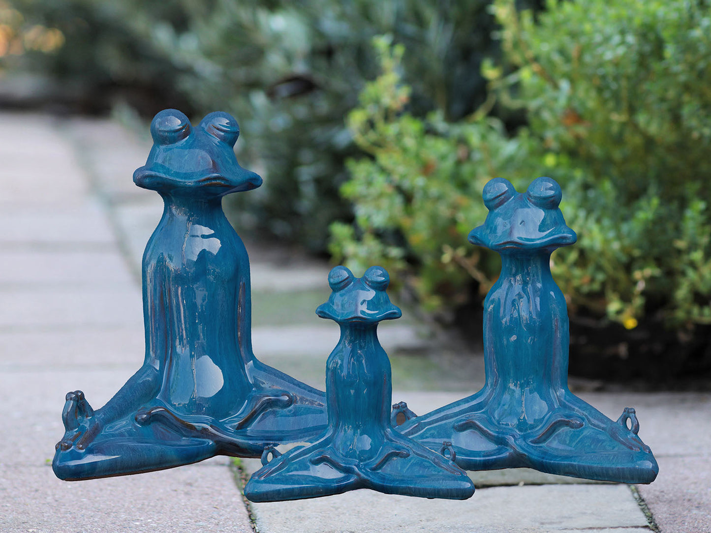 Meditation Frog By Plantatorem