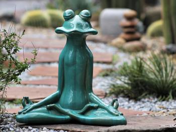 Meditation Frog By Plantatorem